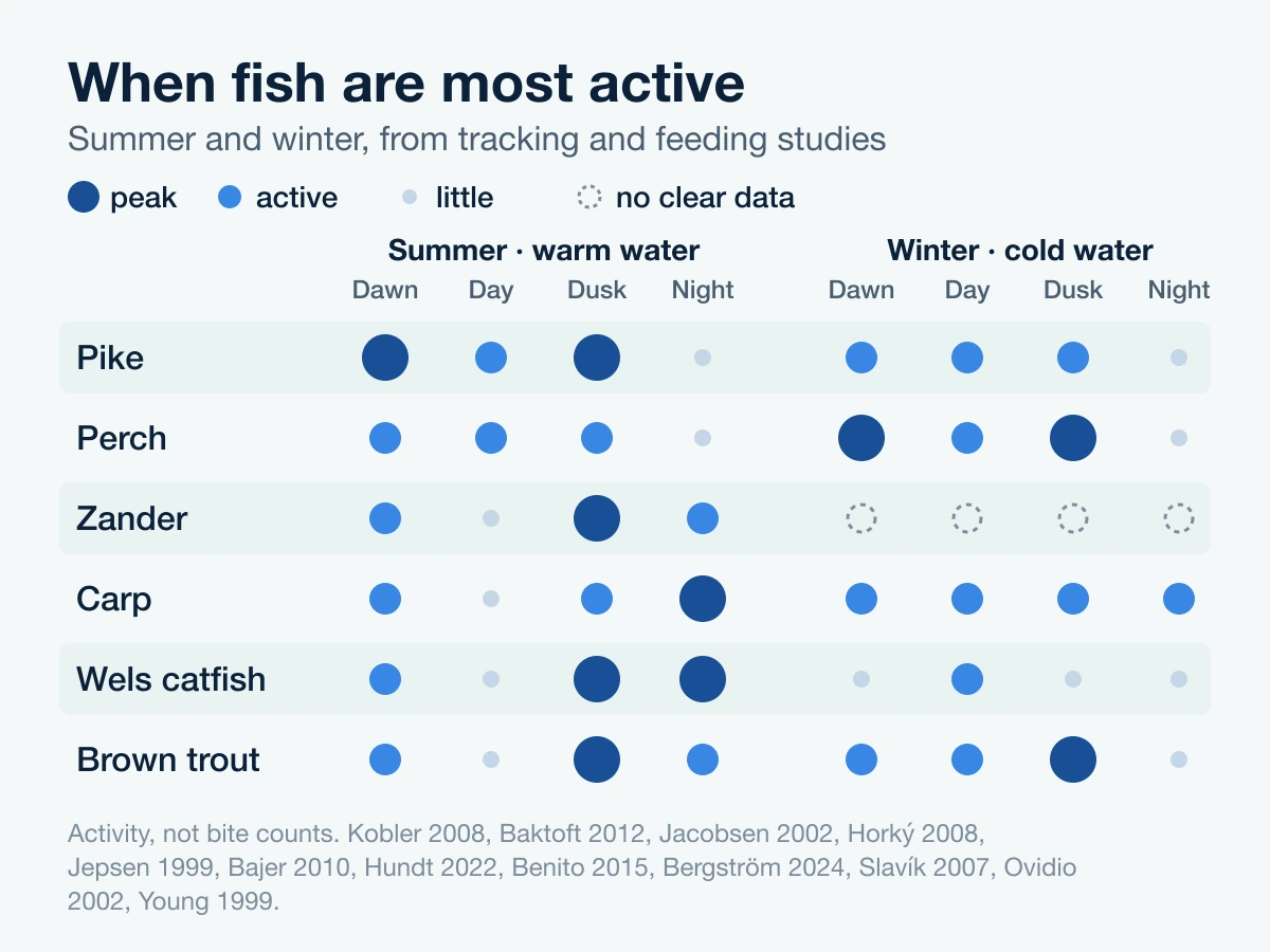 Grid of when six fish are most active at dawn, day, dusk and night, in summer and in winter, from tracking studies