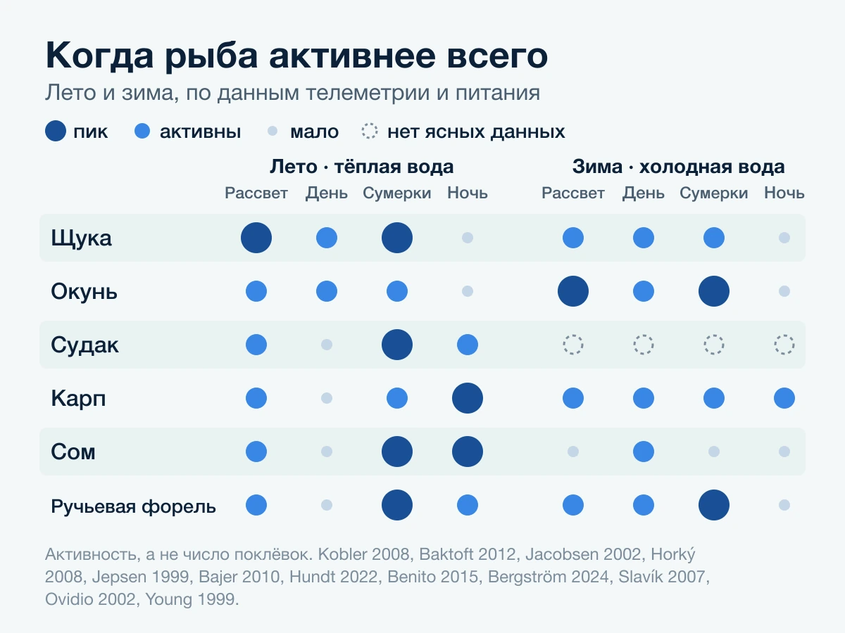 Схема: когда шесть видов рыб активнее всего на рассвете, днём, в сумерках и ночью, летом и зимой