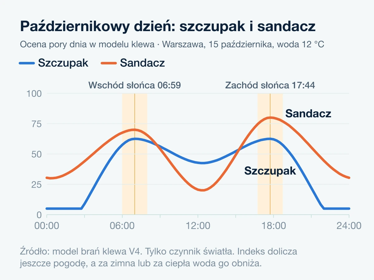 Warszawa, 15 października, woda 12 °C: szczupak najwyżej o wschodzie i zachodzie, sandacz o zmierzchu