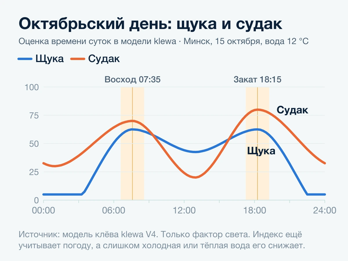 Минск, 15 октября, вода 12 °C: у щуки пики на восходе и закате, у судака максимум в вечерние сумерки