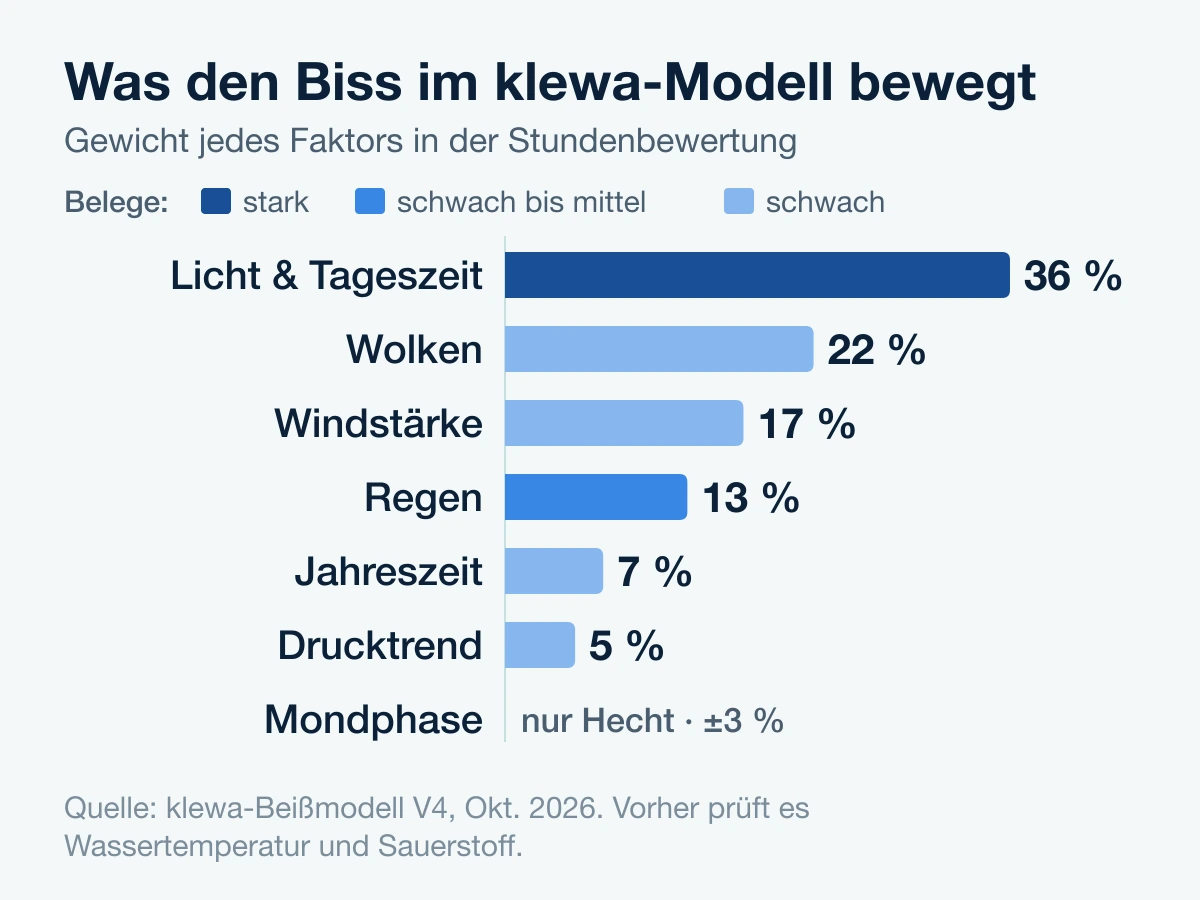 Gewichte im klewa-Modell: Licht 36 %, Wolken 22 %, Wind 17 %, Regen 13 %, Jahreszeit 7 %, Drucktrend 5 %, Mond nur beim Hecht