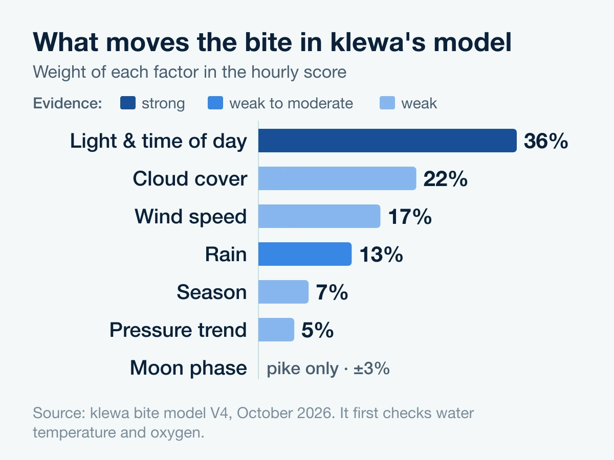 Bar chart of klewa's weights: light 36%, clouds 22%, wind 17%, rain 13%, season 7%, pressure trend 5%, moon only for pike