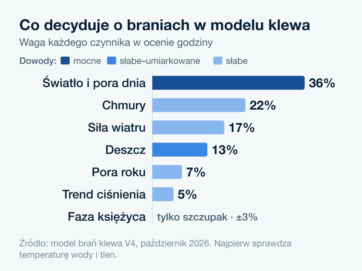 Wagi w modelu klewa: światło 36%, chmury 22%, wiatr 17%, deszcz 13%, pora roku 7%, trend ciśnienia 5%, księżyc u szczupaka