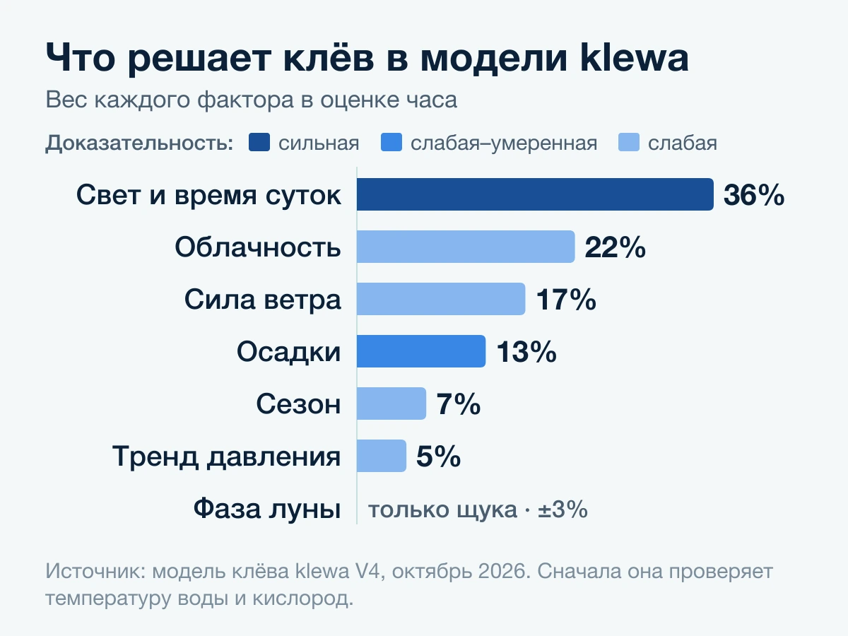 Веса модели klewa: свет 36%, облачность 22%, ветер 17%, осадки 13%, сезон 7%, тренд давления 5%, луна только у щуки