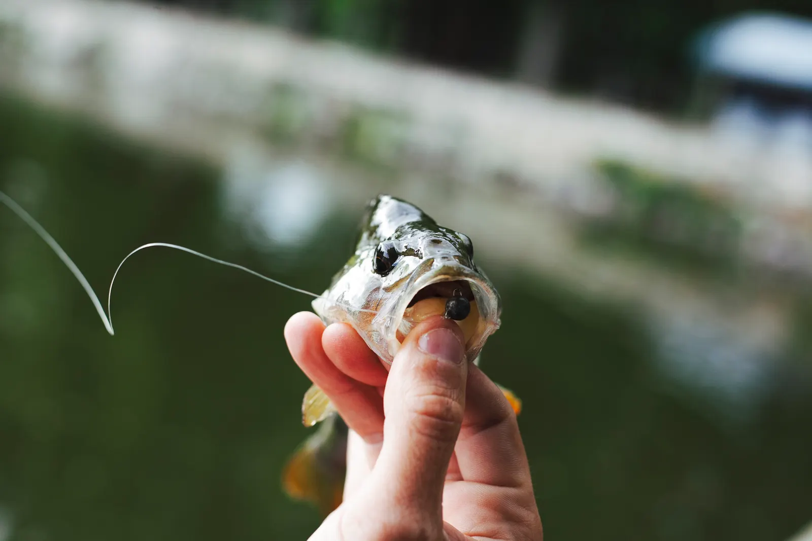 Fishing Tips Powered by Air Pressure Analysis