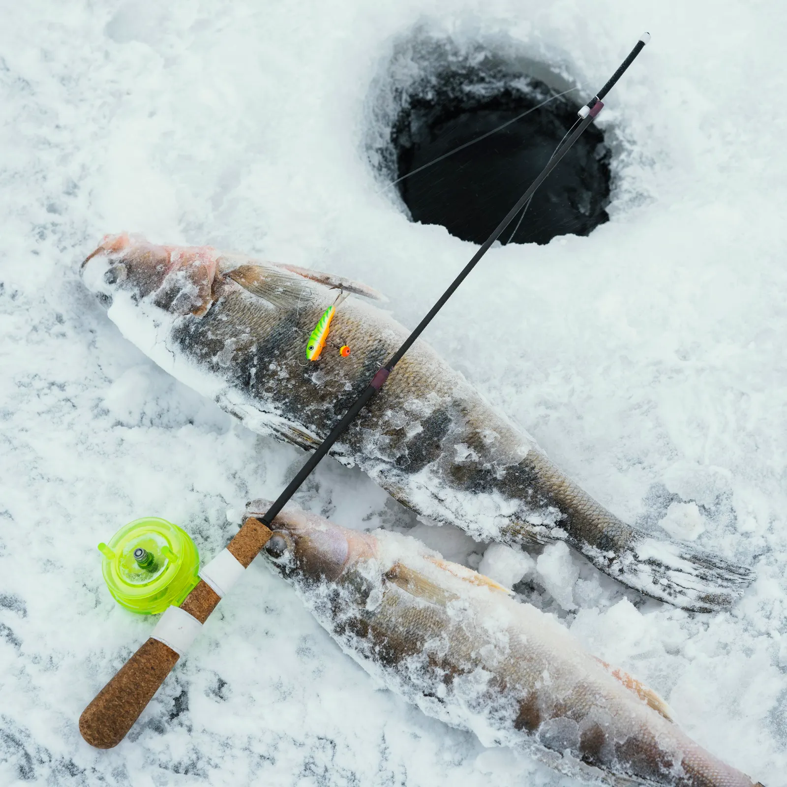 Ice Fishing Tips: How Fish Behave Under the Ice