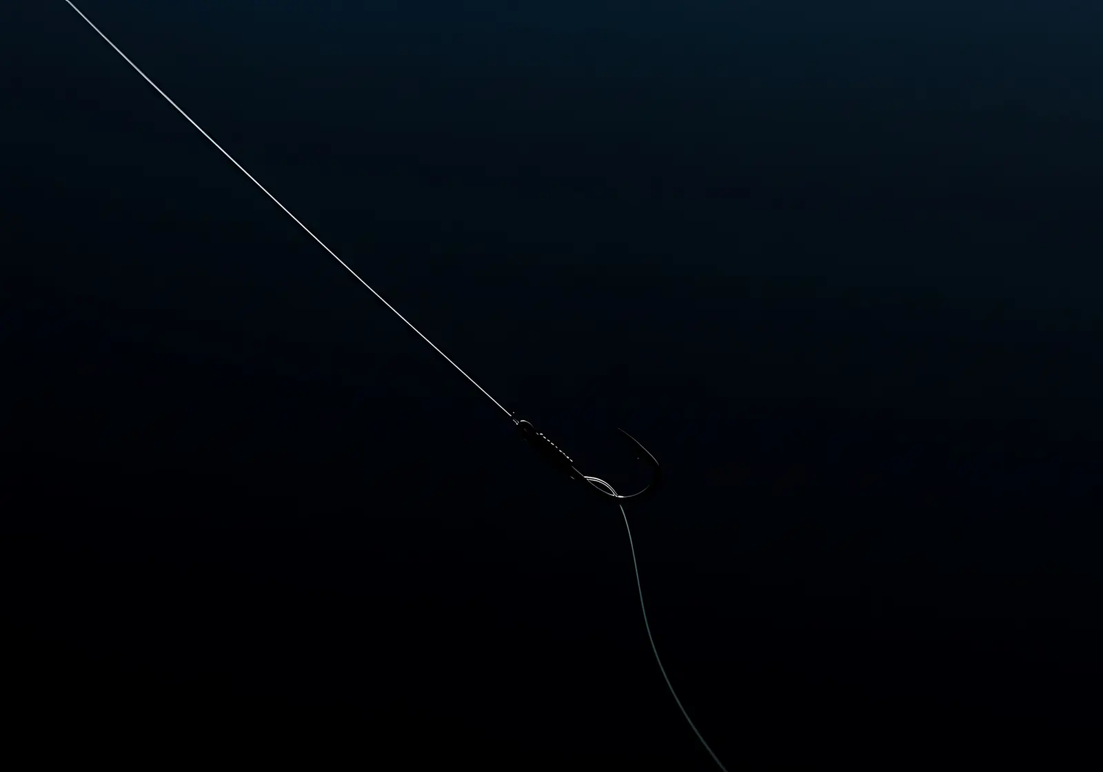 A hook tied to a fluorocarbon leader