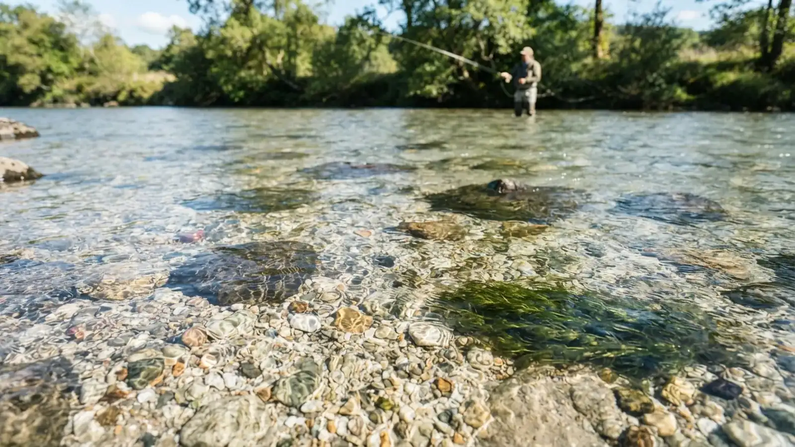 Gin-clear river over pale gravel with every stone visible, a distant angler wading in bright daylight