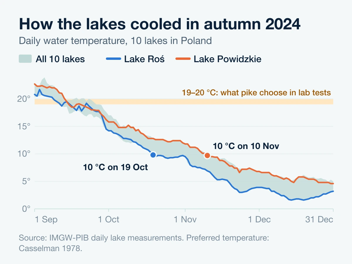Water temperature of ten Polish lakes in autumn 2024: 10 °C on 19 October in Lake Roś, on 10 November in Lake Powidzkie