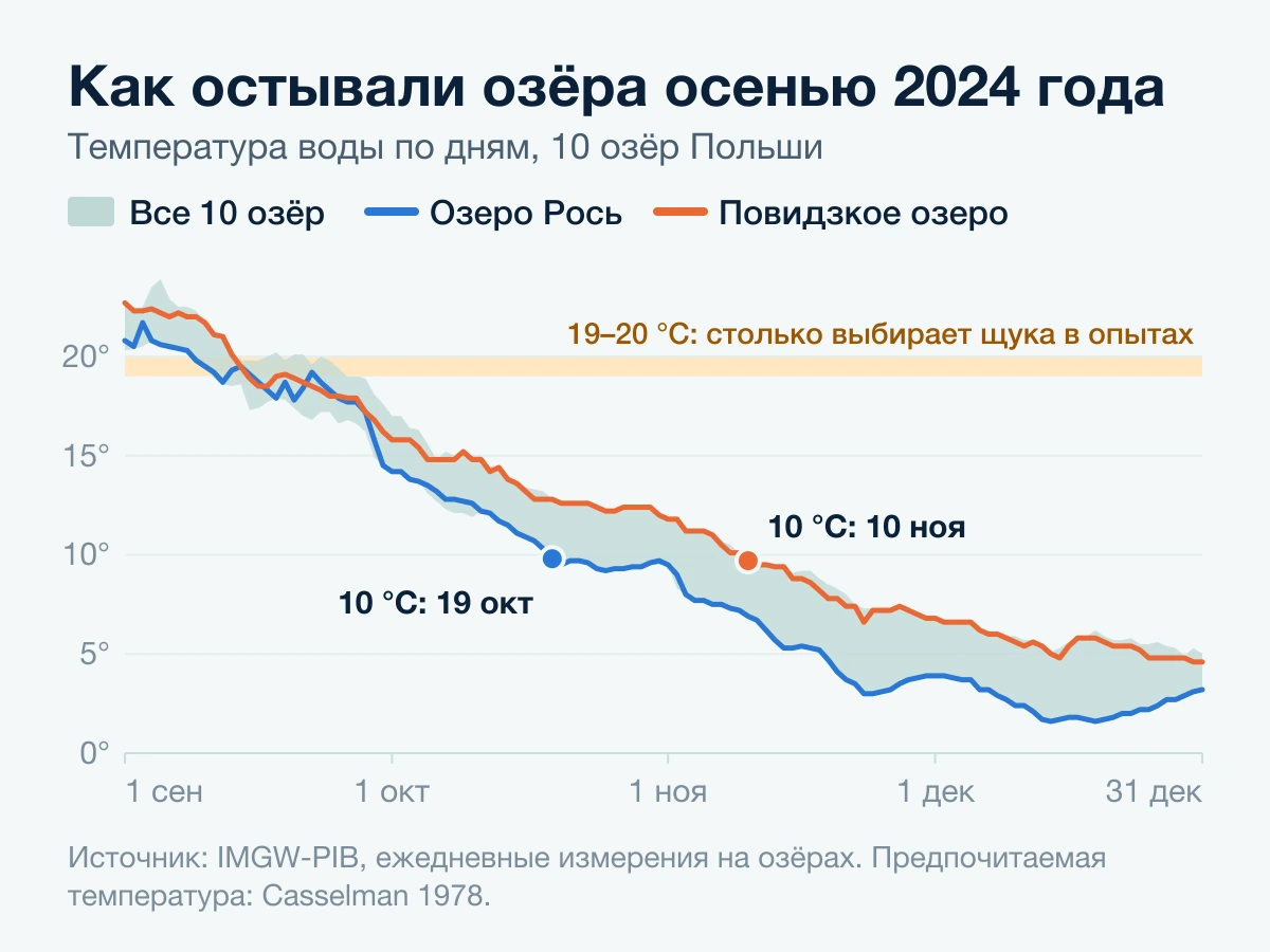 Температура воды в десяти озёрах Польши осенью 2024 года: 10 °C в озере Рось 19 октября, в Повидзком озере 10 ноября
