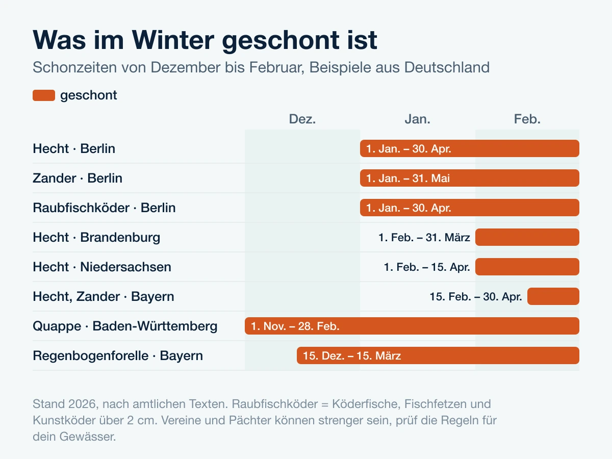 Zeitleiste der Schonzeiten von Dezember bis Februar in Berlin, Brandenburg, Niedersachsen, Bayern und Baden-Württemberg