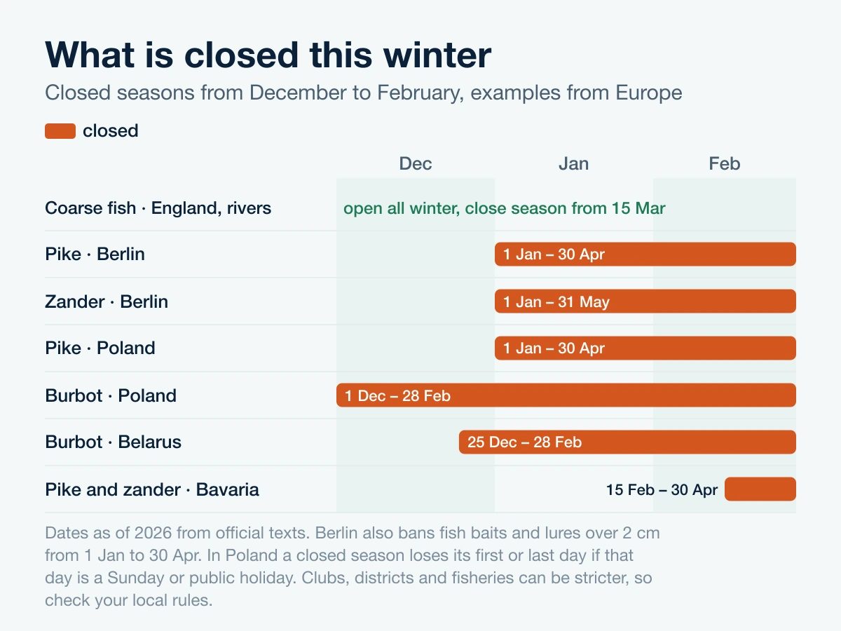 Timeline of closed seasons from December to February in England, Berlin, Poland, Belarus and Bavaria