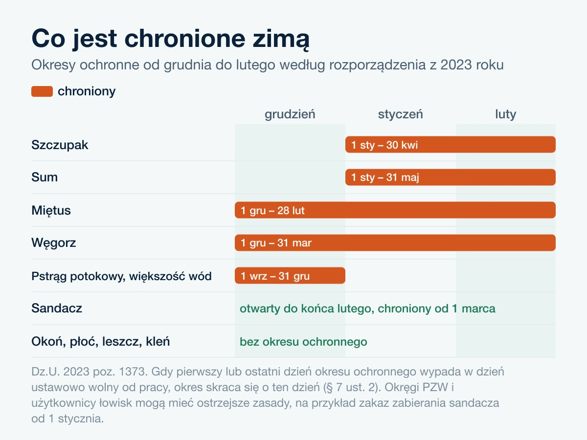 Oś czasu okresów ochronnych od grudnia do lutego: szczupak, sum, miętus, węgorz, pstrąg, sandacz i ryby bez okresu ochronnego