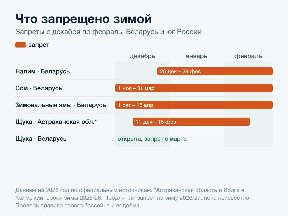 Запреты с декабря по февраль: налим, сом и зимовальные ямы в Беларуси, щука в Астраханской области и на Волге в Калмыкии